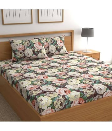 chhavi india Poly Cotton 1 Double Bedsheet with 2 Pillow Covers ( Brown )