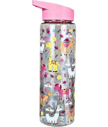 Smily  kiddos - Sipper Bottle 750 ml - Kitty Theme Black Water Bottle 750 mL ( Set of 1 )