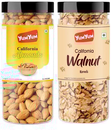YUM YUM Dry Fruits 500g Combo Pack - Badam 250g, Akhrot Giri 250g Jar Each - Almonds, Walnuts