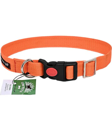 GNS PETS - Fluorescent Orange Collar ( Medium )