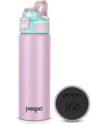 Pexpo Arctic Brown Stainless Steel Fridge Water Bottle 800 mL ( Set of 1 )