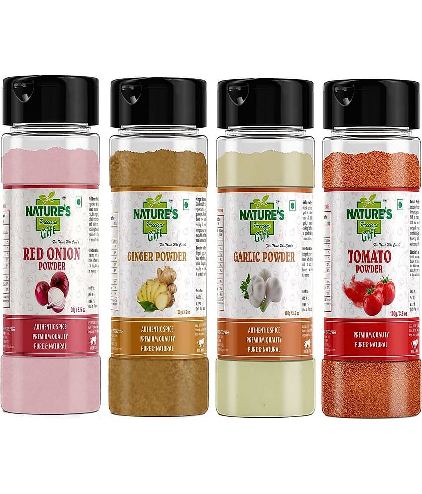 Natures Gift - 100 gm Garlic Powder (Pack of 4)