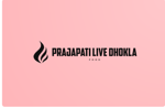 Prajapati Live Dhokla