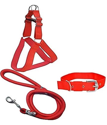Smart Doggie - Red Dog Combo (Medium)
