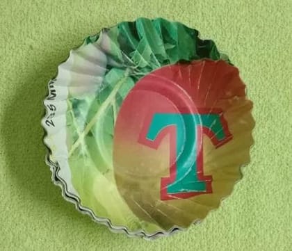 Premium Biodegradable Paper Plate Set of 100