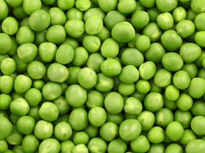 Green Peas/ Green Batani