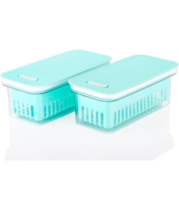 Analog Kitchenware Veg./Fruit/Meat Plastic Multicolor Food Container ( Set of 2 )