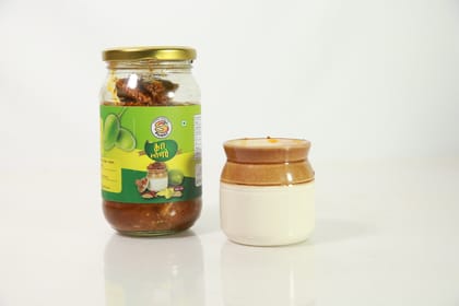 Mango Pickle 500g Mango Pickle 500g