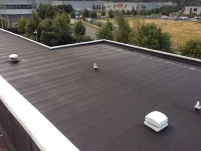 1001 Rakshak Emulsion Pine G-0757| Weatherproof | Excellent Durability | Water-based exterior wall finishes with water resistance I Better anti-algal protection than cement paints - (1 ltr)