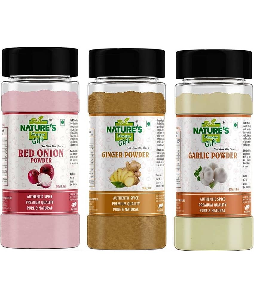 Natures Gift Garlic Powder 250 gm, Red Onion Powder 250 gm & Ginger Powder 200 gm - for Cooking & Seasoning Powder 700 gm Pack of 3