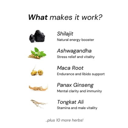 Shilajit Plus Capsules-60 Capsules
