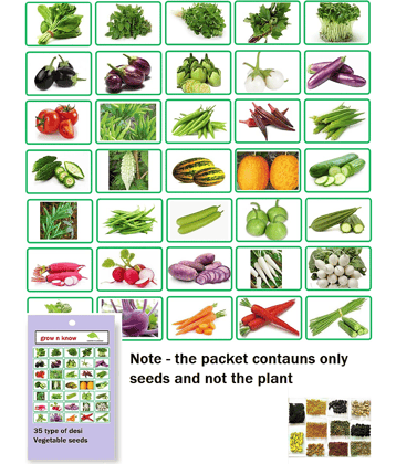 35 different  type of vegetable seeds for home garden 2000 seeds