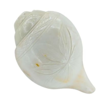 MAYAPURI Blowing Shankh/Puja Shankha or White Conch Shell (Big Size)