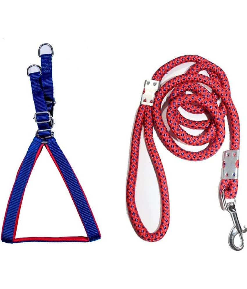 Tame Love Padded Harness and Leash for Adult Dogs of All Breeds (Blue Color - 1.25 inches)