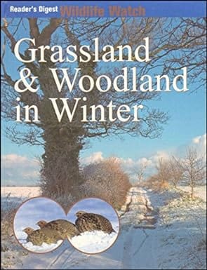 Wildlife Watch: Grassland & Woodland in Winter