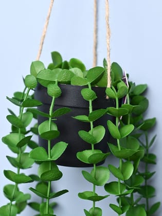 Green Hanging Planter - Cylindrical Shape Green Hanging Planter - Cylindrical Shape