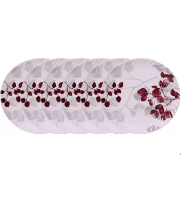 Carnival 6 Pcs Melamine Multi Color Full Plate