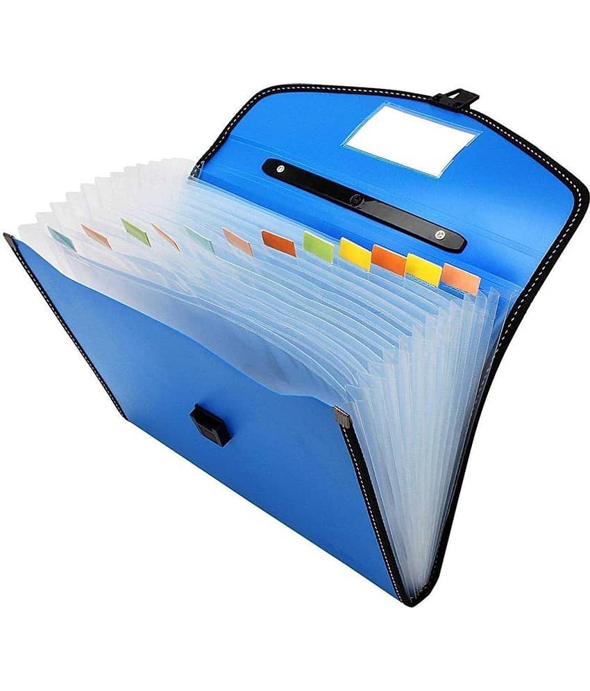 Villy File Folder, Accordion Document/Letter A4 Size File Organizer with Handle and 13 Pockets - Assorted Colour