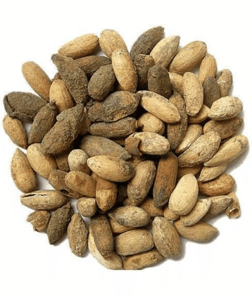 Nutrixia Food Neem seed Beej 104 gm