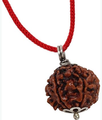 Astrodidi 5 Mukhi Rudraksha Pendant With Lab Certificate