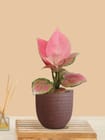 ... ...