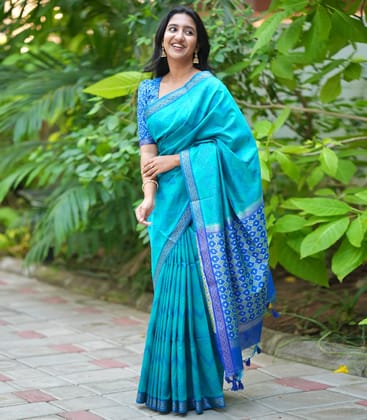Sky Blue Woven Art Raw Silk Saree With Chevron Stripes-Sky Blue