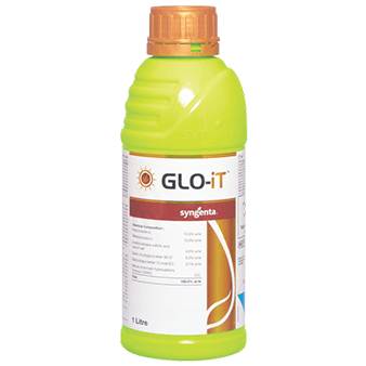 GLO-iT