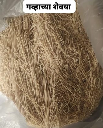 Wheat shevaya