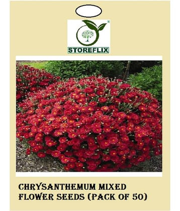 STOREFLIX - Flower Seeds ( Chrysanthemum Mixed Flower Seeds (Pack of 50) )