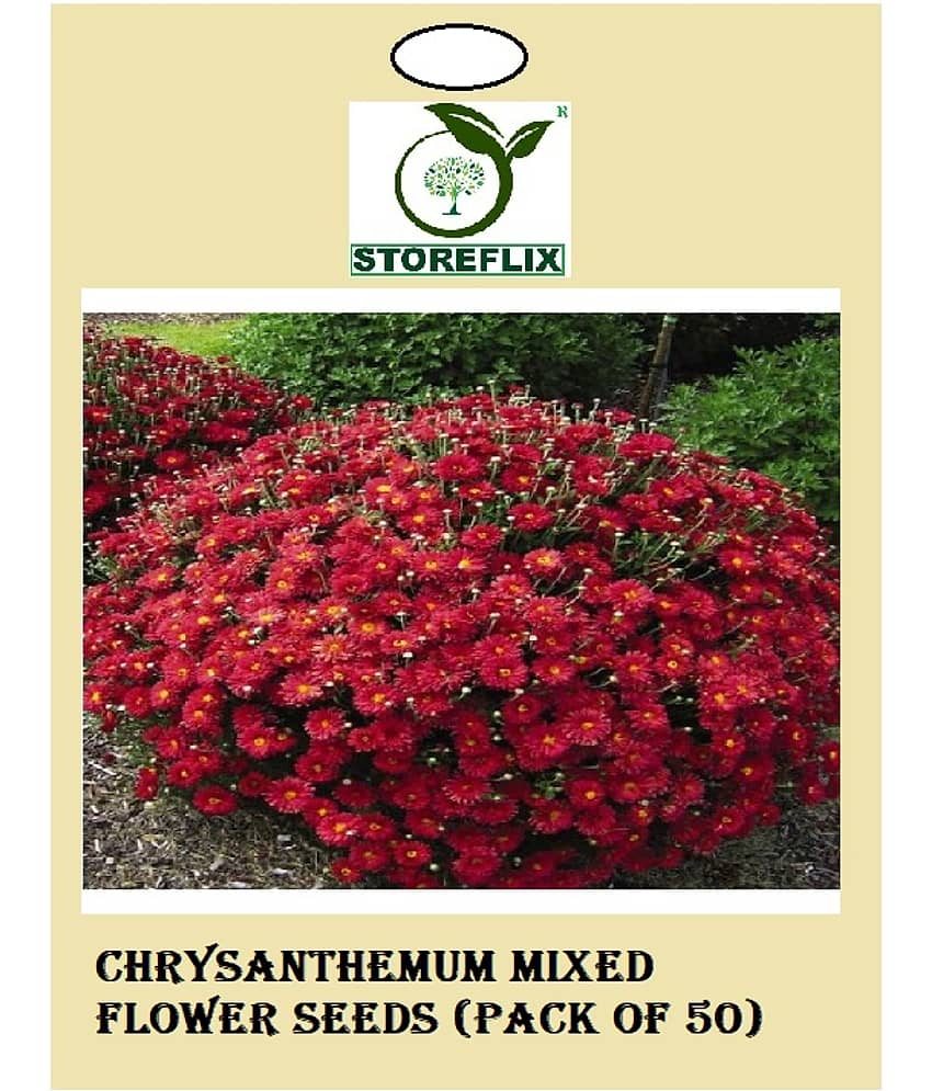 STOREFLIX - Flower Seeds ( Chrysanthemum Mixed Flower Seeds (Pack of 50) )