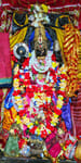 Shreyansh Collection