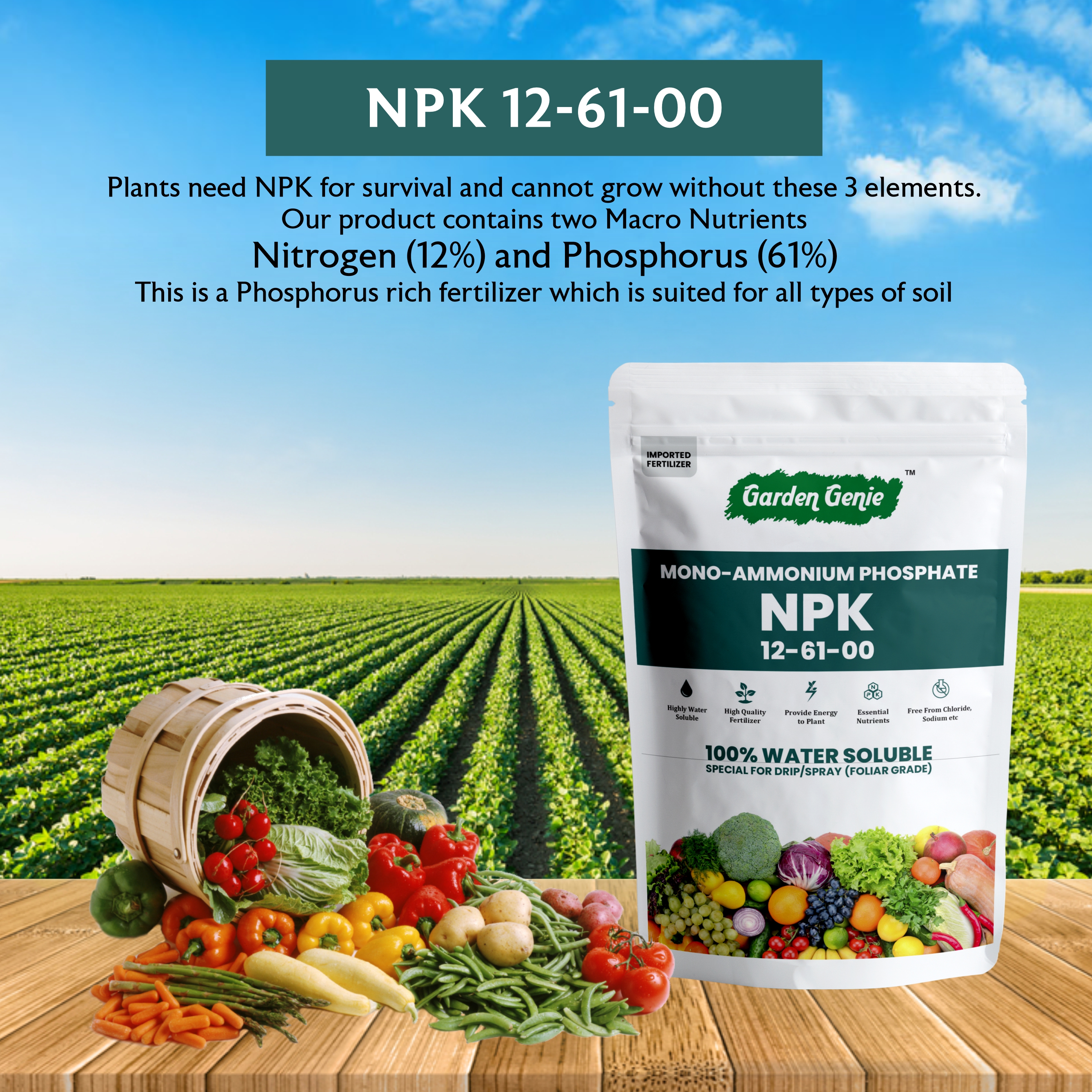 Garden Genie MAP (Mono Ammonium Phosphate) NPK 12 61 00 Fertilizers for Plants 380 Gm | Water Soluble Plant Growth Promoter | Foliar Spray Application