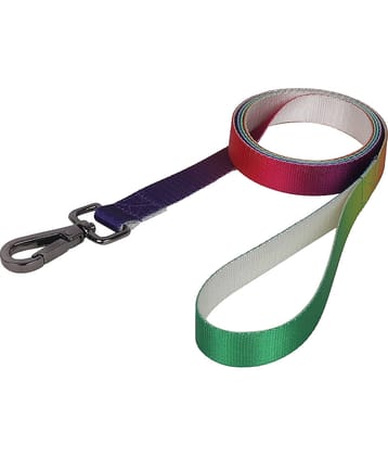 GNS PETS Lime Green Collar ( Medium )