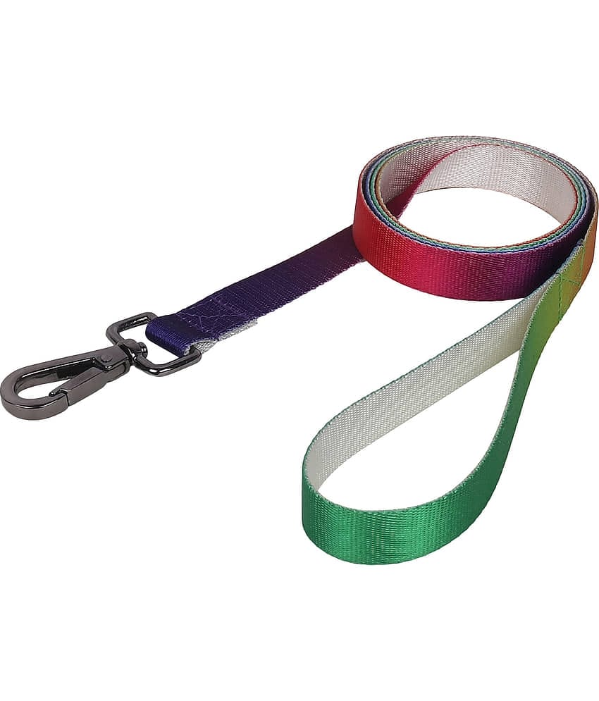 GNS PETS Lime Green Collar ( Medium )