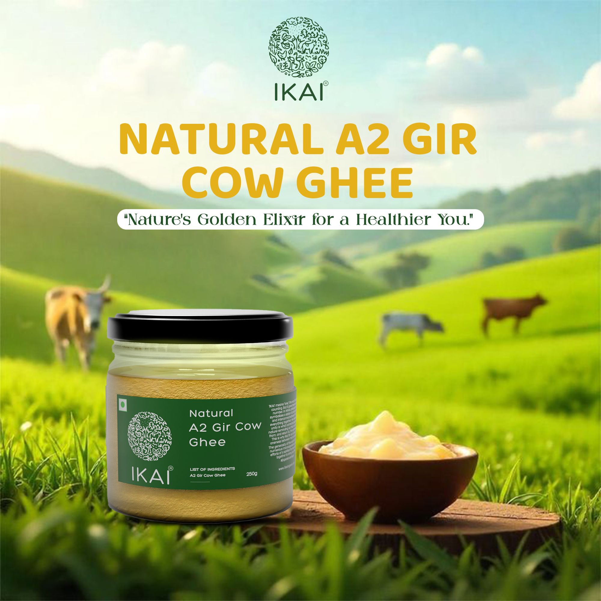 Natural A2 Gir Cow Ghee | Vedic Bilona Method | Curd Churned | 250g