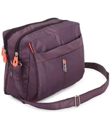 Raylan Purple Solid Messenger Bag
