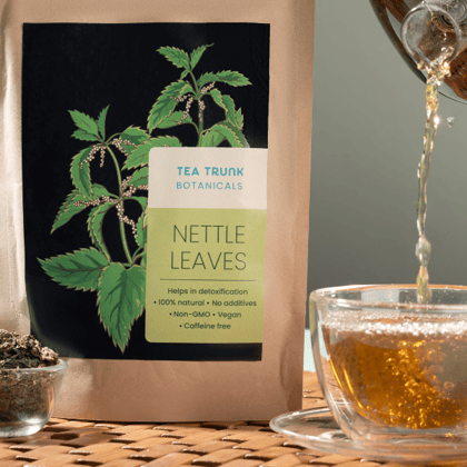 Nettle Leaves-50 GMS