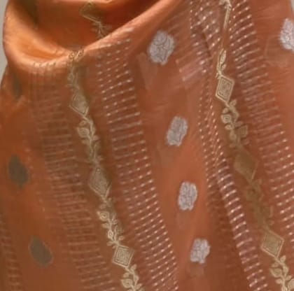 Banarasi Warm Sik Dyed Saree