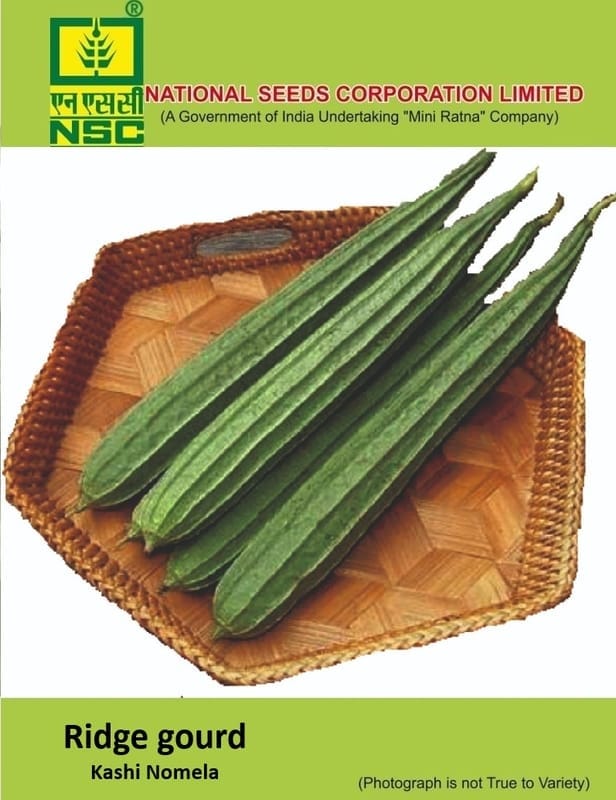 NSC Ridge gourd Kashi Nanda Seed