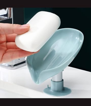 GEEO - Soap Dish 12X8