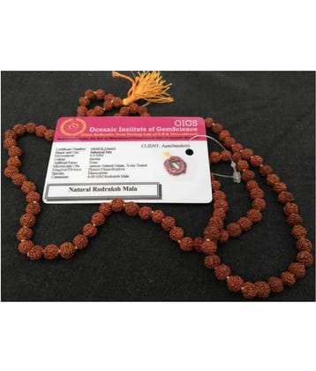 Apnisanskriti Rudraksha Pack of 1