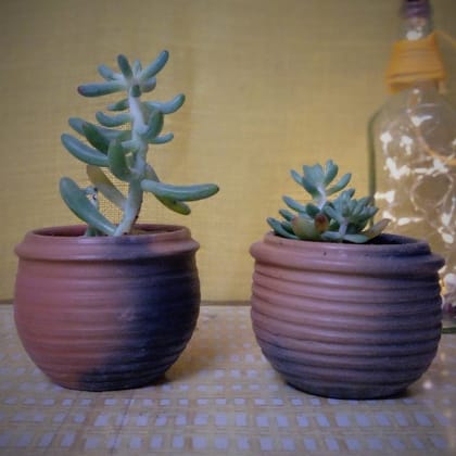 Reduction Fired Terracotta & Jute Hanging cum Desktop Planter Single