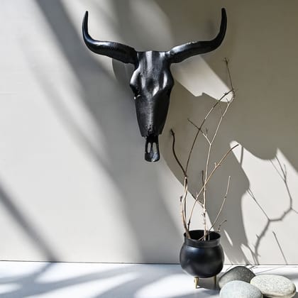 Long Horn Steer Wall Décor S