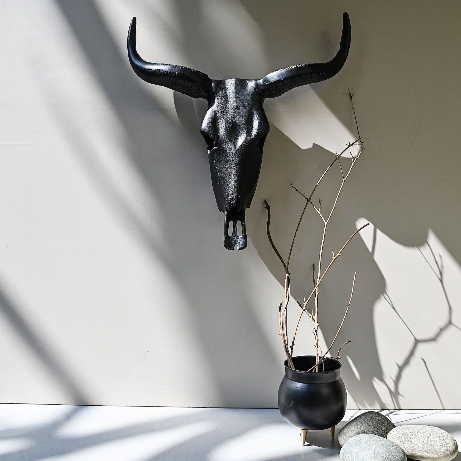 Long Horn Steer Wall Décor S