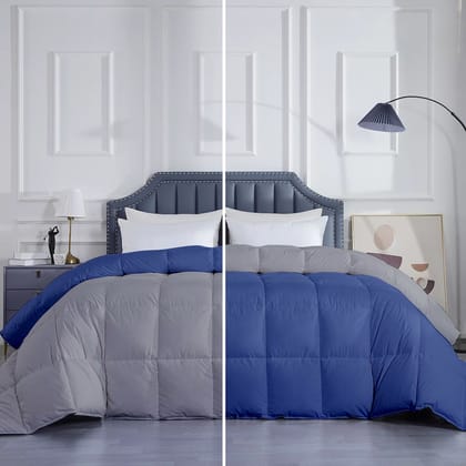 Razzai Down Alternative Soft Quilted 300 GSM All Weather Comforter |Silver/Medium Blue-Single / Medium Blue