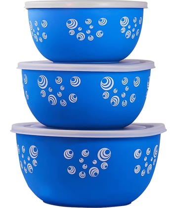 Kitchen Zest - Blue Steel Food Container ( Pack of 3 )