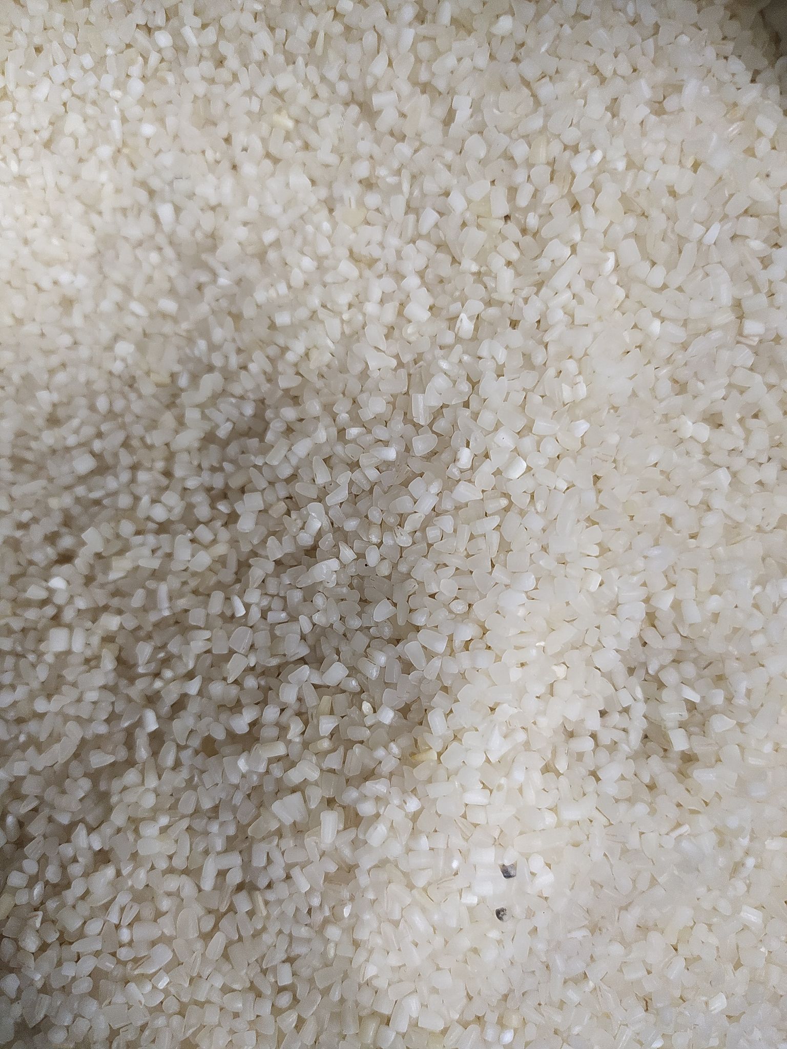 basmati kinki 