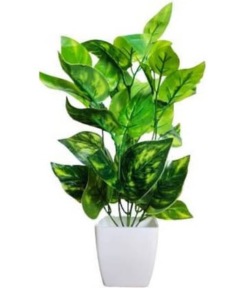 Green plant indoor Artificial Money Plants Green Bonsai Plastic - Pack of 1