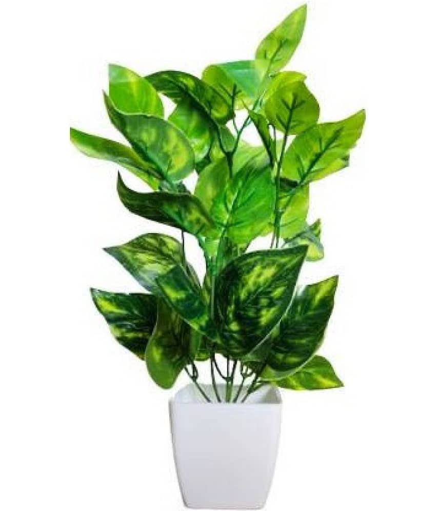 Green plant indoor Artificial Money Plants Green Bonsai Plastic - Pack of 1