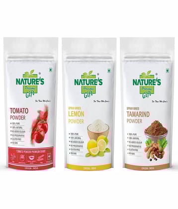 Natures Gift - 100 gm Tamarind Powder (Pack of 3)